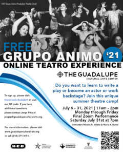 Grupo Animo Online Teatro Experience